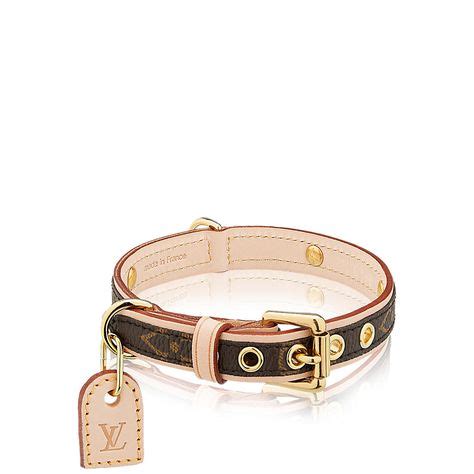 gucci designer cat collars.